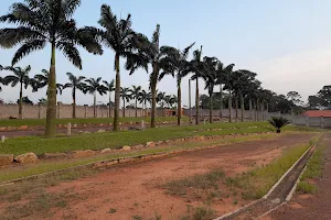 Papaye Gardens, Konkonuru image