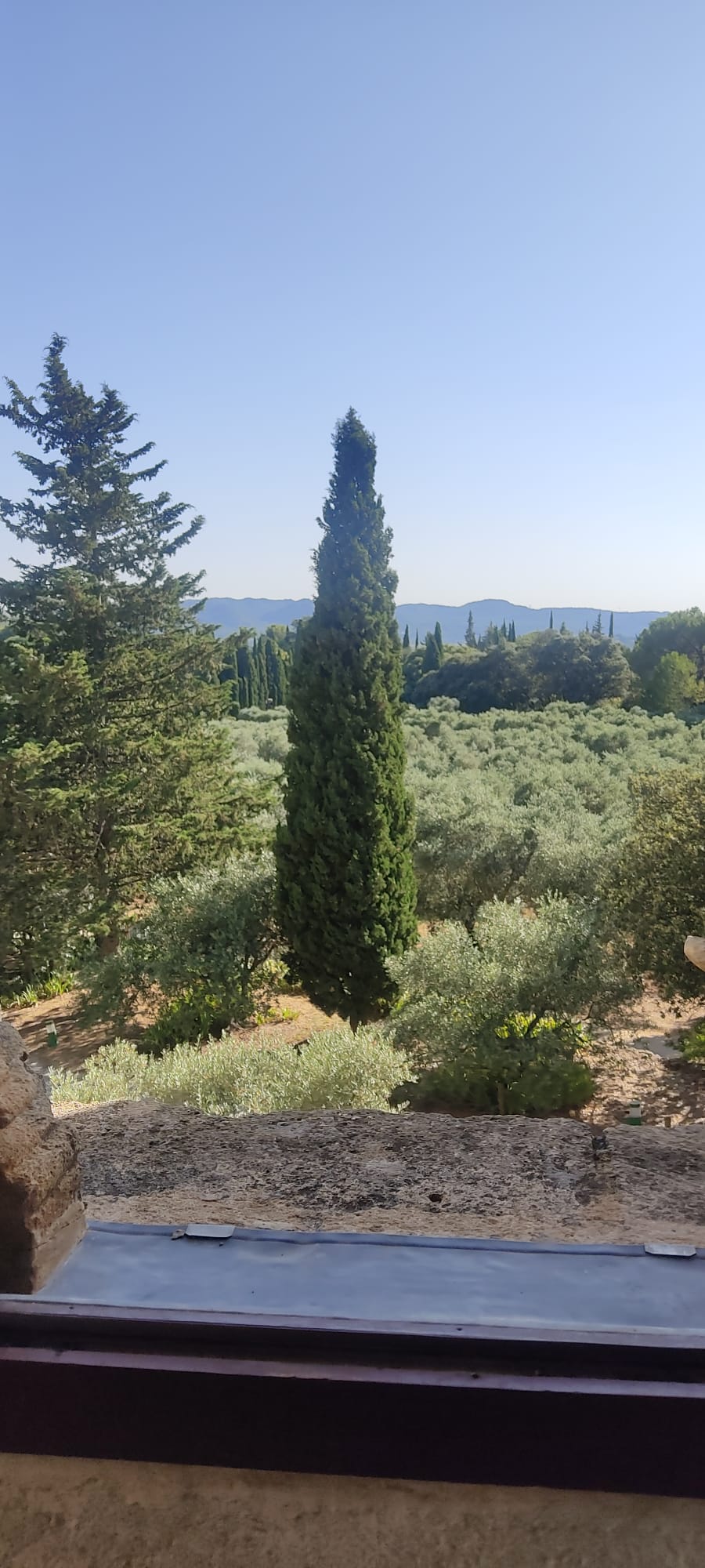 Photo n° 11 de l'avis de David.o fait le 02/08/2023 à 16:40