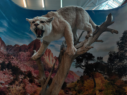 Sporting Goods Store «SCHEELS», reviews and photos, 6503 W 135th St, Overland Park, KS 66223, USA