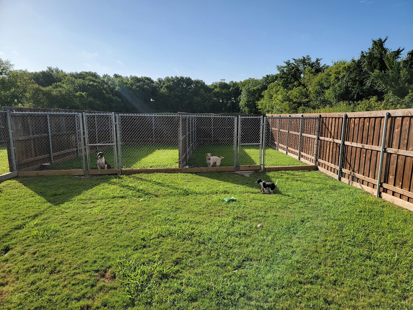 City of Forney Animal Shelter