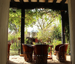 Vivero Forestal Moxviquil photo