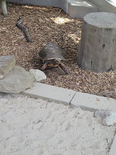 Zoo «Frank Buck Zoo», reviews and photos, 1000 W California St, Gainesville, TX 76240, USA