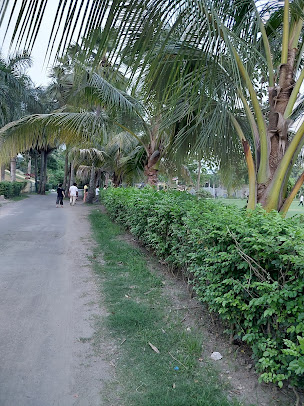 Google Maps image 20