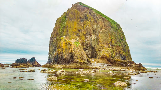 Tourist Attraction «Haystack Rock», reviews and photos, US-101, Cannon Beach, OR 97110, USA