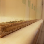 Photo n°5 de l'avis de Salvatore.e fait le 07/09/2021 à 06:25 sur le  Hotel NH Catania Centro à Catania