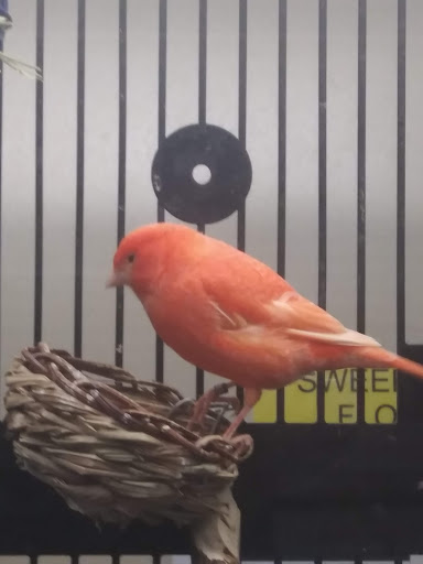 Pet Supply Store «Petco Animal Supplies», reviews and photos, 6720 Fox Centre Pkwy, Gloucester Courthouse, VA 23061, USA