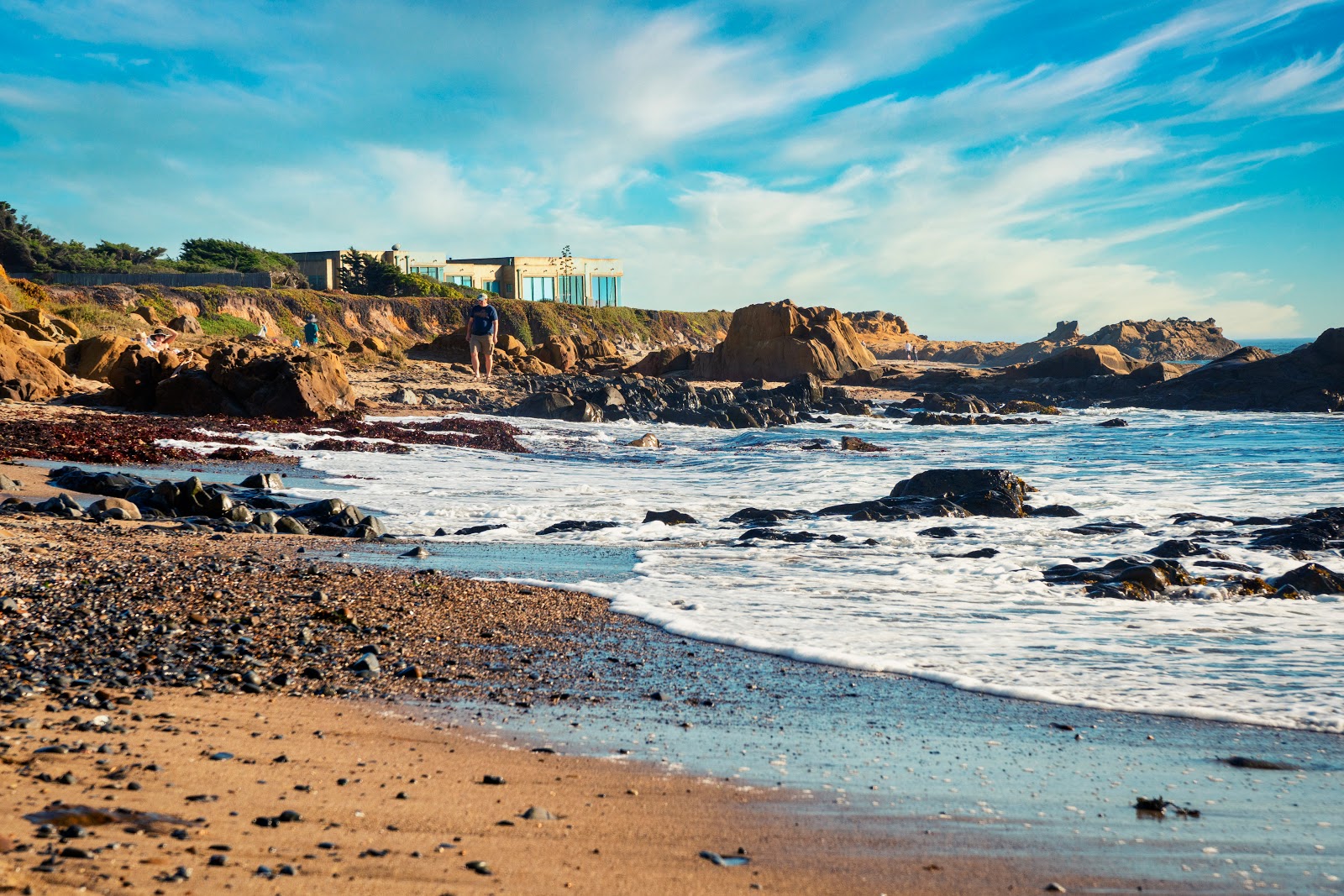 Pescadero Point Beach的照片 具有非常干净级别的清洁度