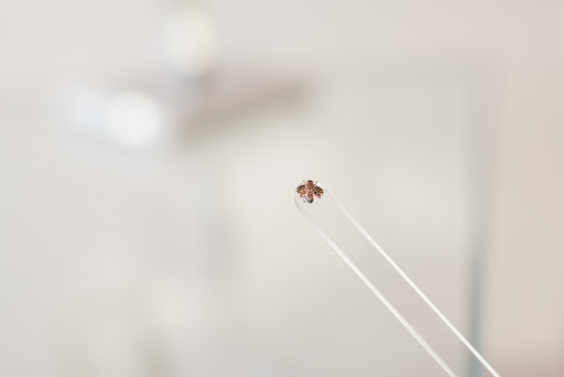 Explore cool sister tattoo ideas, creative tattoo ideas in Corpus Christi, available at Prestigious Piercing