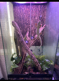 Charismatic Creatures - Photo 7 - Car repair in Ventura, CA, Oxnard