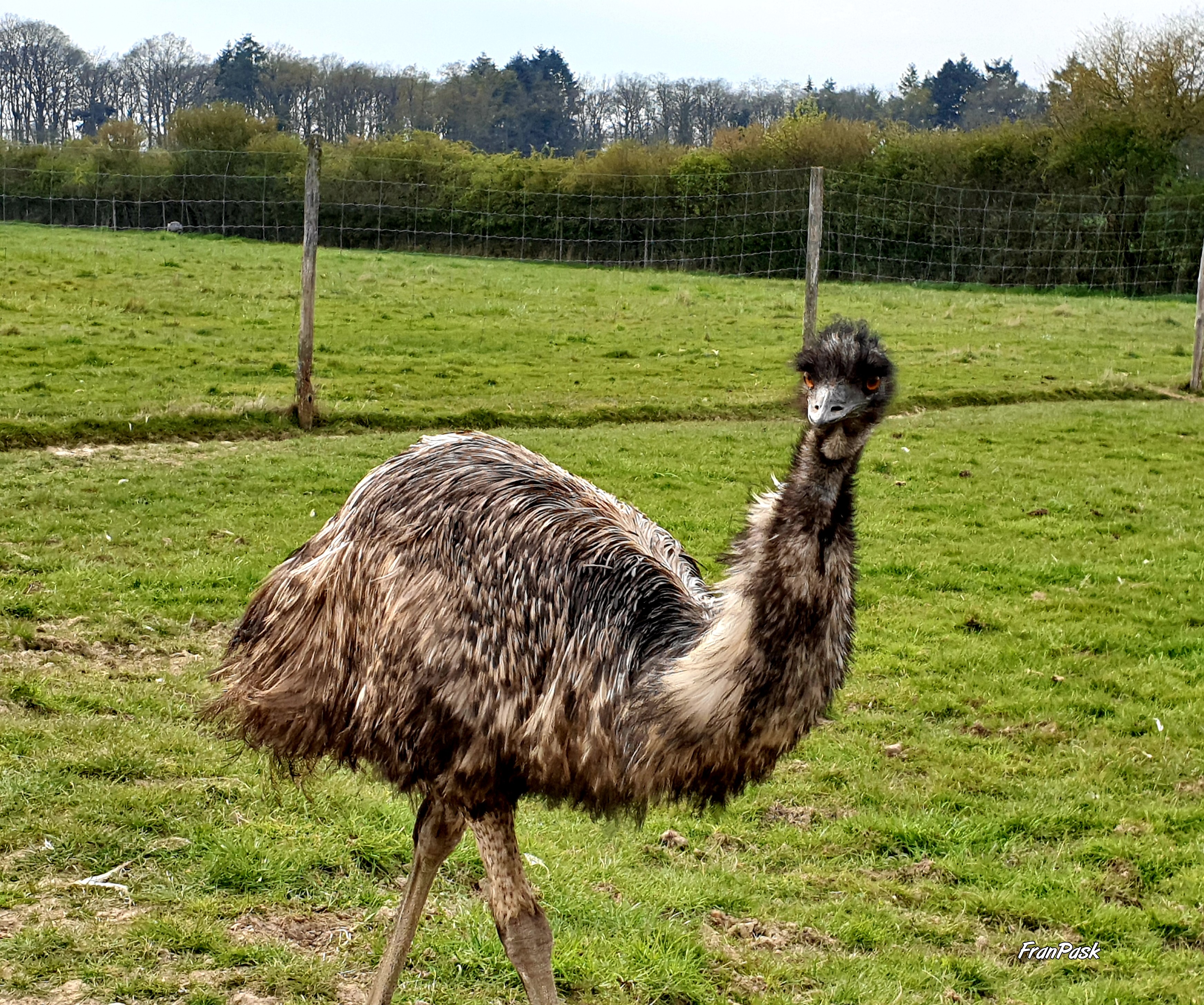 Photo n° 13 de l'avis de Frane.a fait le 15/04/2019 à 16:06