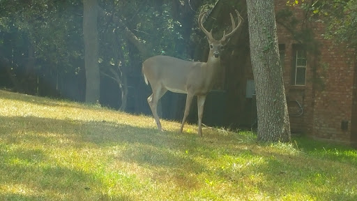 Club «The Club at Garden Ridge», reviews and photos, 21320 Water Wood Dr, San Antonio, TX 78266, USA