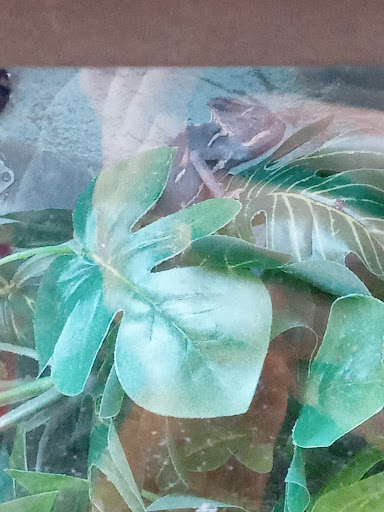 Pet Supply Store «Petco Animal Supplies», reviews and photos, 1207 S Caraway Rd, Jonesboro, AR 72401, USA