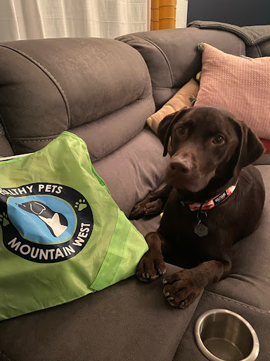 Pet Store «Healthy Pets Mountain West», reviews and photos, 2352 Fort Union Blvd, Cottonwood Heights, UT 84121, USA