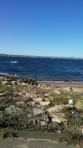 Park «Morse Park», reviews and photos, Morse Ave, West Haven, CT 06516, USA