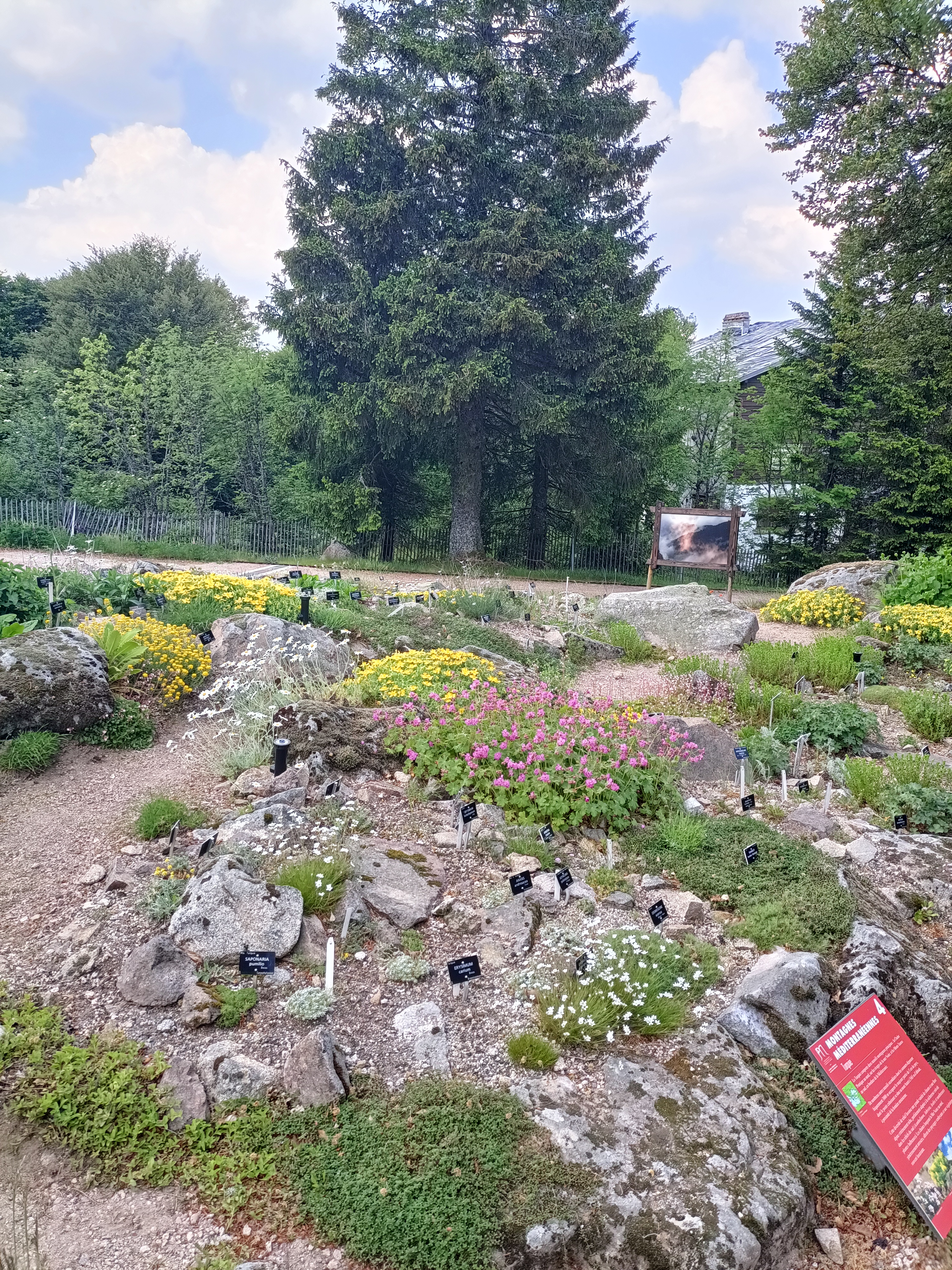 Photo n° 4 de l'avis de Agnès.e fait le 23/06/2023 à 18:04