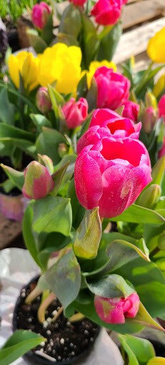 Department Store «Rural King», reviews and photos, 7 Ohio River Plaza, Gallipolis, OH 45631, USA