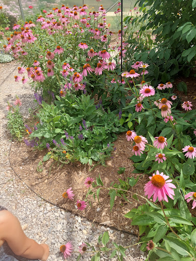 Nature Preserve «For-Mar Nature Preserve & Arboretum», reviews and photos, 2142 N Genesee Rd, Burton, MI 48509, USA