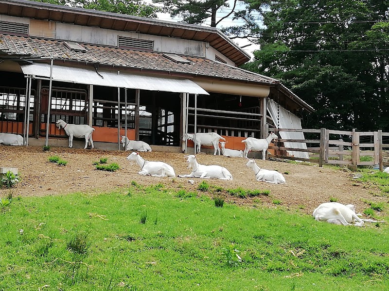 るり渓高原やぎ牧場