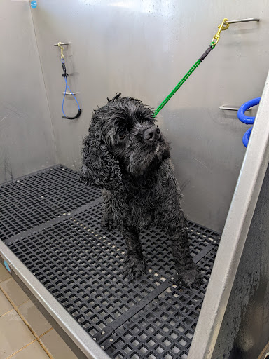 Pet Supply Store «Pet Supplies Plus», reviews and photos, 1240 Seminole Trail, Charlottesville, VA 22901, USA