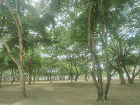 Parque Los Tamarindos