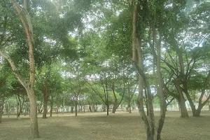 Parque Los Tamarindos image