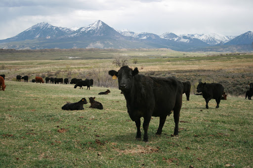 Butcher Shop «Colorado Meat Company», reviews and photos, 51 Beaver Creek Pl #3, Avon, CO 81620, USA