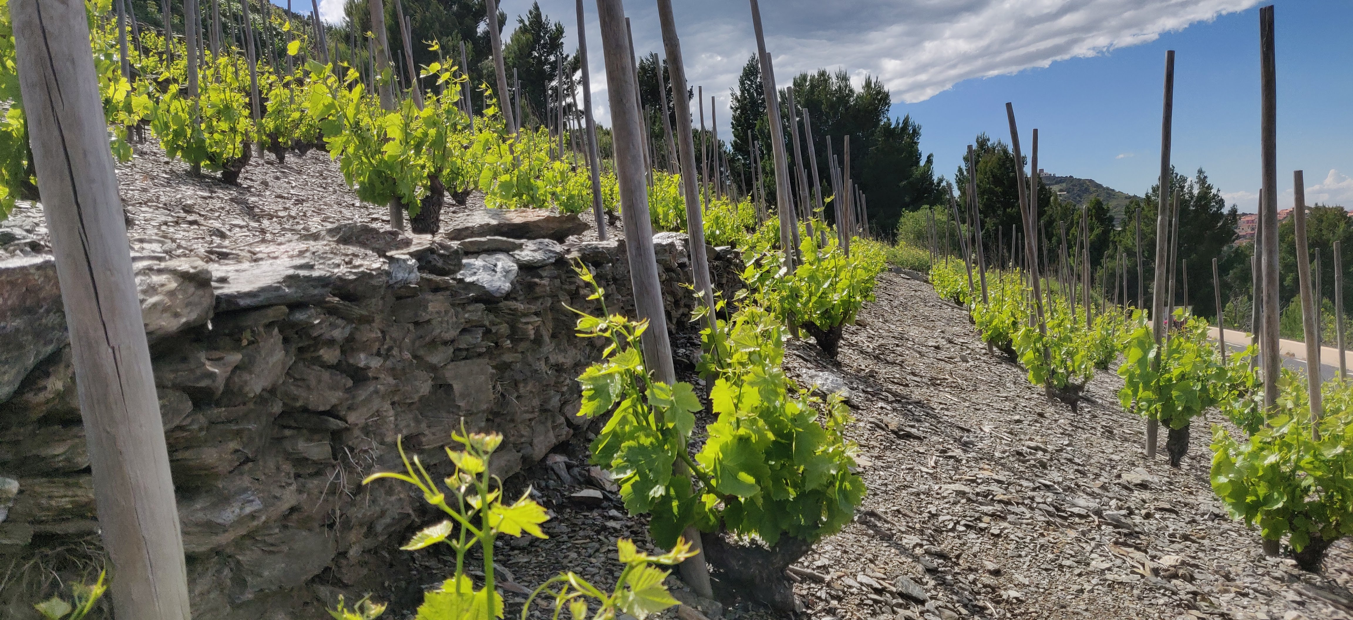 Photo n° 7 de l'avis de Patrice.s fait le 15/05/2019 à 08:57