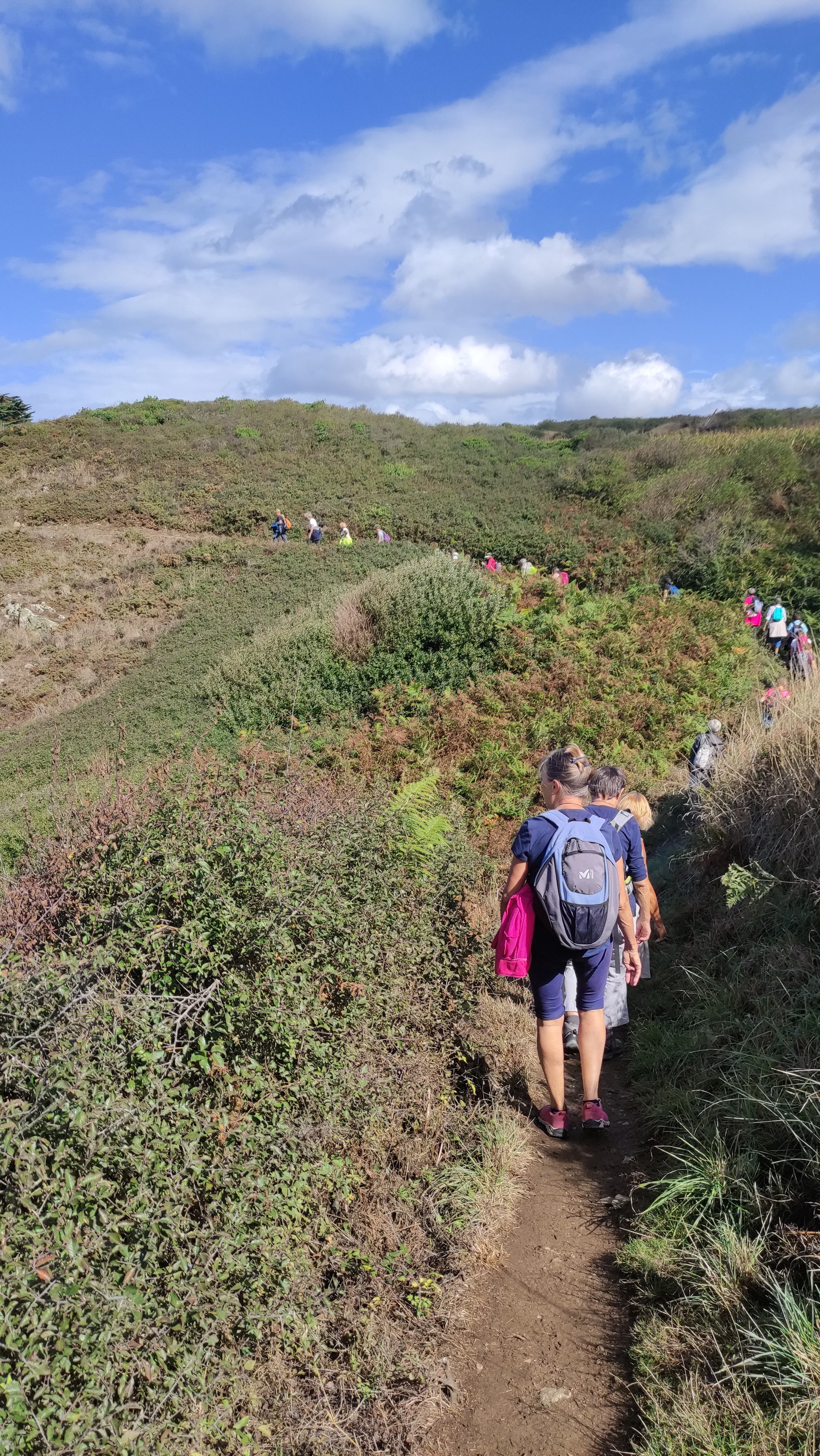 Photo n° 7 de l'avis de Ky29. fait le 16/09/2022 à 17:12