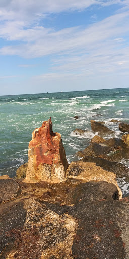 Marina «Fort Pierce City Marina», reviews and photos, 1 Avenue A, Fort Pierce, FL 34950, USA