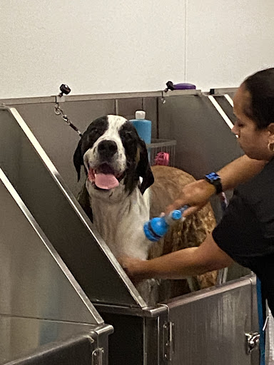 Pet Groomer «Woof Gang Bakery & Grooming, The Villages», reviews and photos, 3682 Meggison Rd, The Villages, FL 32163, USA