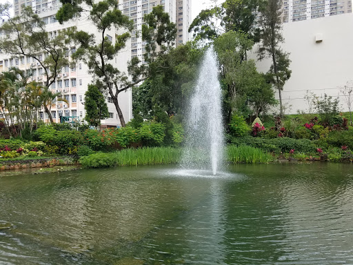 附近漂亮的游泳池 香港