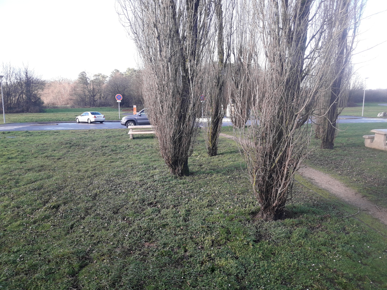 Photo n° 15 de l'avis de El.e fait le 22/08/2019 à 16:22