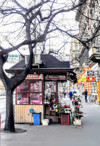 Gardénia Virág - Budapest