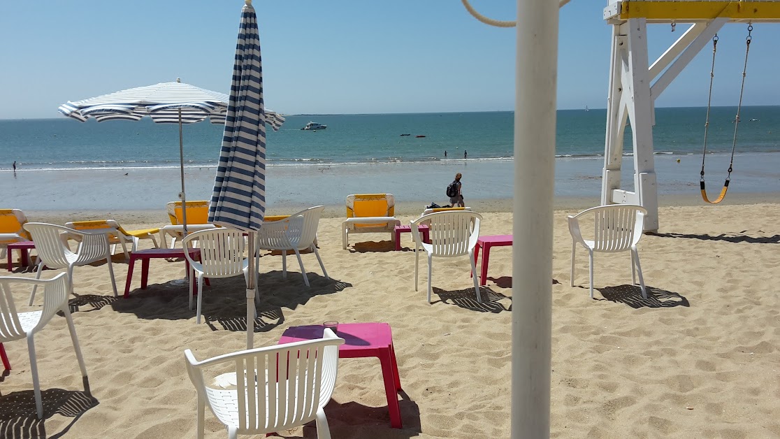 Club des Léopards - Léo Bar Restaurant à La Baule-Escoublac