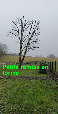 Lemaire elagage à La Charité-sur-Loire