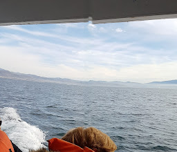 Sammy's Sport Fishing photo