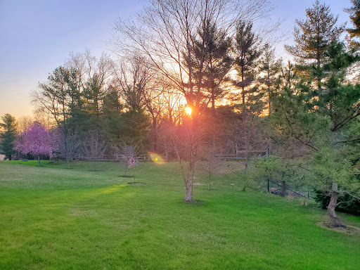 Park «Gough Park», reviews and photos, 9300 Honeygo Blvd, Perry Hall, MD 21128, USA