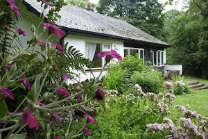 Nant Bach Cottages image