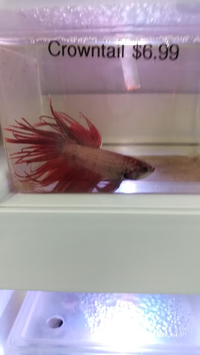 Pet Supply Store «Pet Supermarket», reviews and photos, 800 Sebring Square.., Sebring, FL 33870, USA