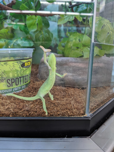 Pet Supply Store «Petco Animal Supplies», reviews and photos, 1215-1309 NJ-33 #1, Hamilton Township, NJ 08690, USA