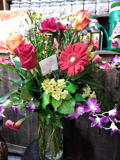 Florist «Tanglewood Flowers & Garden», reviews and photos, 5518 Dolores St, Houston, TX 77056, USA