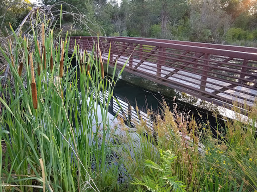 Nature Preserve «Beaverton Creek Wetlands Natural Area», reviews and photos, SW 153rd Dr, Beaverton, OR 97006, USA