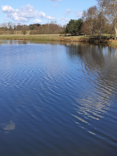 Højkilde Fiskesø