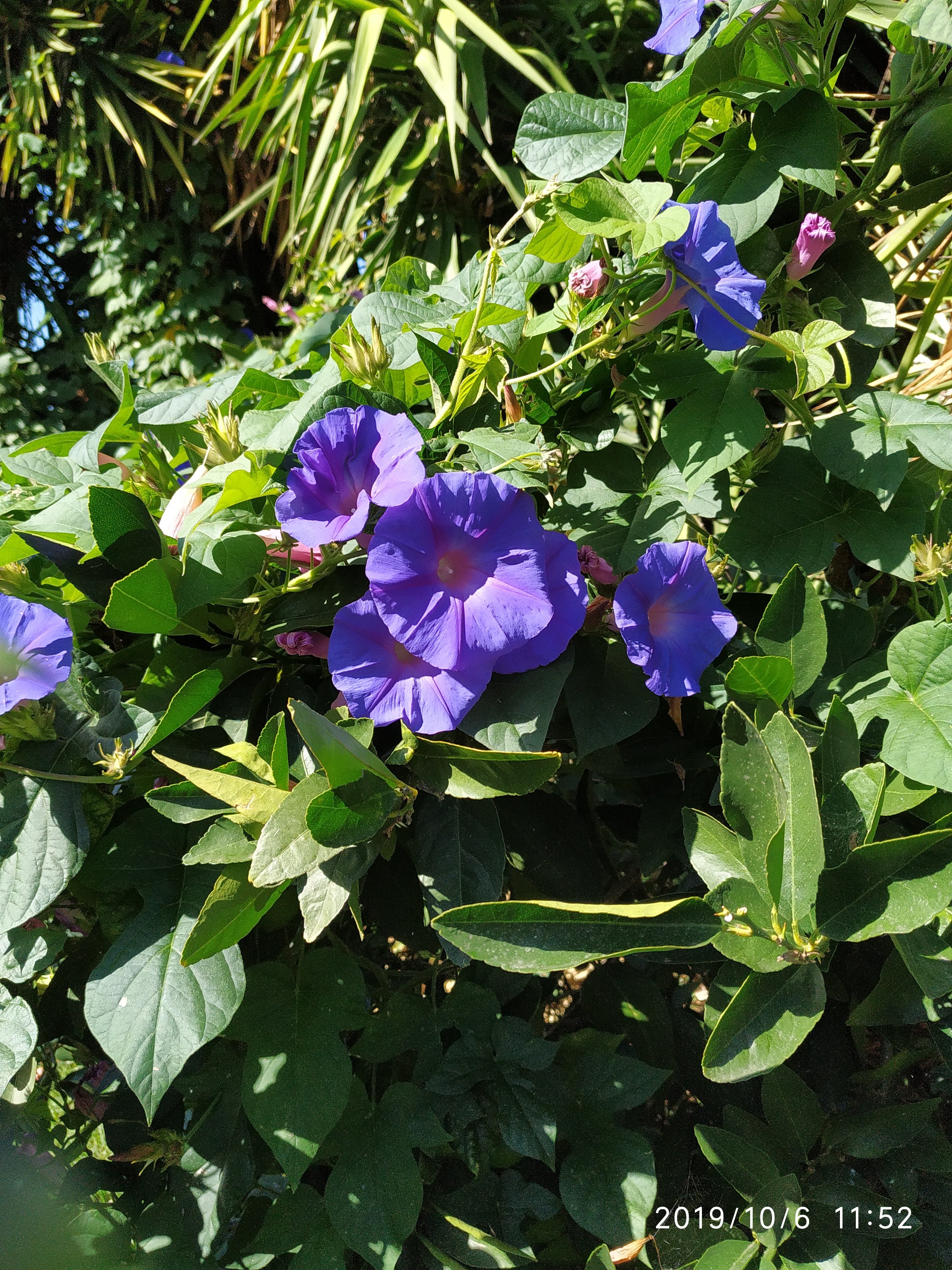 Photo n° 2 de l'avis de Marie-Christine.U fait le 27/10/2019 à 10:28