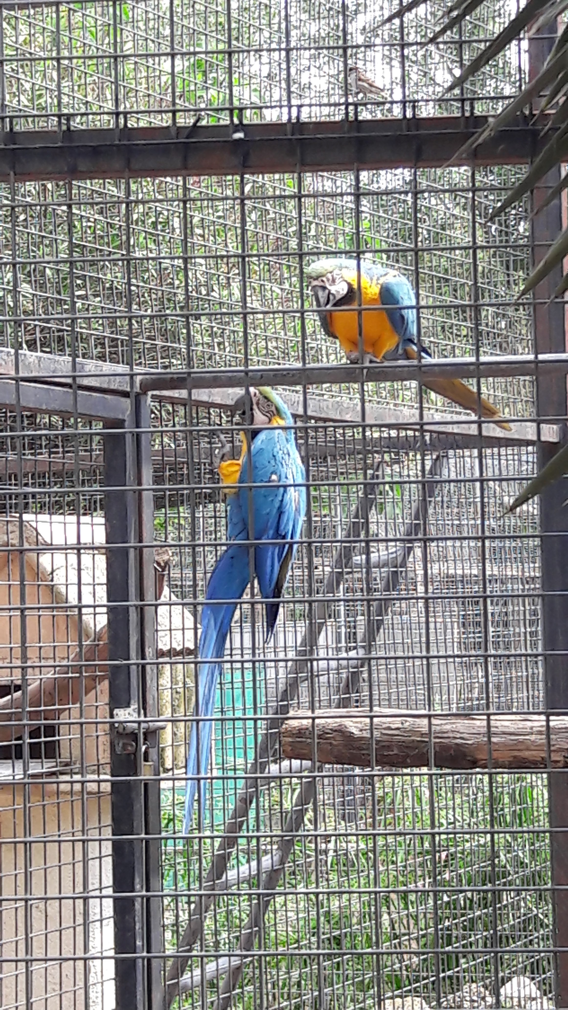 Photo n° 2 de l'avis de Laurence. fait le 09/05/2018 à 15:40