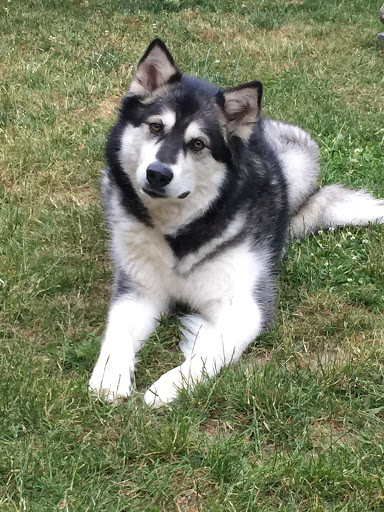 Pet Supply Store «Sellwood Pet Supply», reviews and photos, 8334 SE 17th Ave, Portland, OR 97202, USA