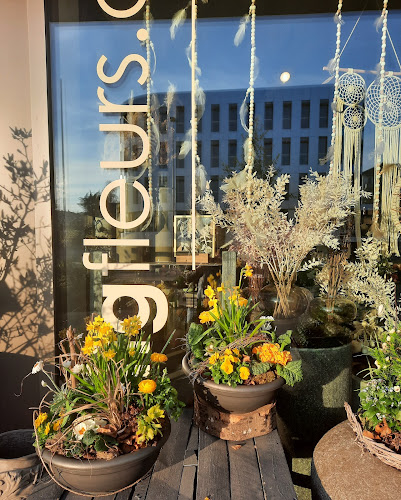 Rezensionen über hertigfleurs in Freiburg - Blumengeschäft