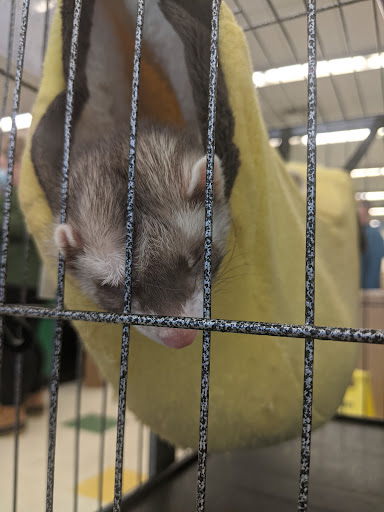 Pet Supply Store «Pet Supplies Plus», reviews and photos, 625 Southern Artery, Quincy, MA 02169, USA