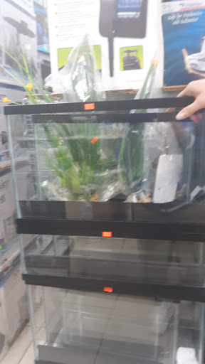 Pet Store «Pet Source 1901», reviews and photos, 1901 W 8th St B, Los Angeles, CA 90057, USA