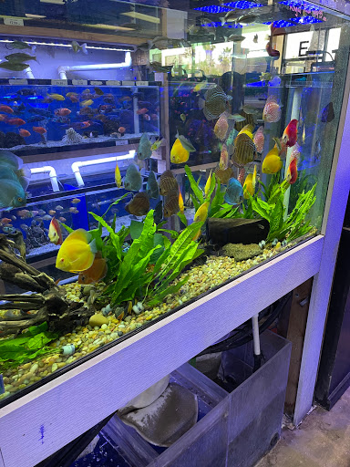 Pet Store «Pet World», reviews and photos, 891 Harriman Pl, San Bernardino, CA 92408, USA